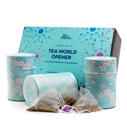 Набор чая Tea Point TEA WORLD OPENER #1, 3х10 пирамидок